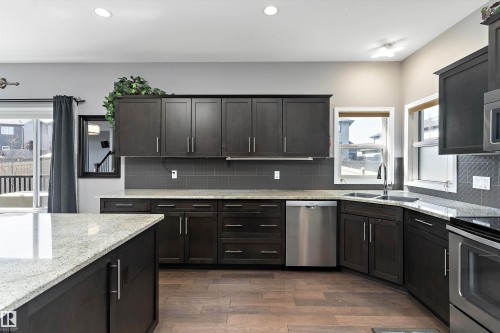 1325 Adamson Drive, Edmonton, AB - Indoor Photo Showing Kitchen With Double Sink With Upgraded Kitchen