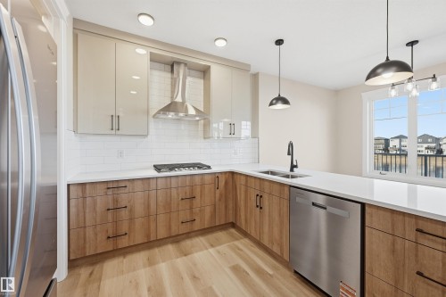 19034 20A Ave, Edmonton, AB - Indoor Photo Showing Kitchen With Double Sink With Upgraded Kitchen