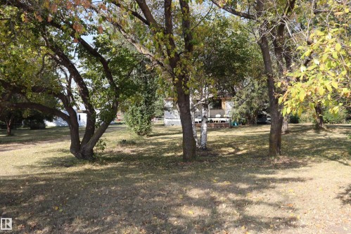 243066 Twp. Rd. 464, Rural Wetaskiwin County, AB - Outdoor With View