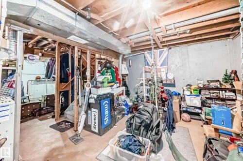 18611 66 Avenue, Edmonton, AB - Indoor Photo Showing Basement
