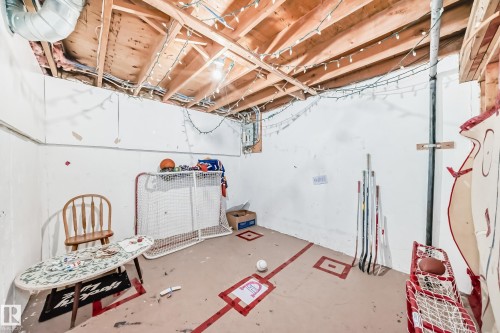 18611 66 Avenue, Edmonton, AB - Indoor Photo Showing Basement