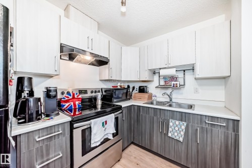 18611 66 Avenue, Edmonton, AB - Indoor Photo Showing Kitchen With Double Sink