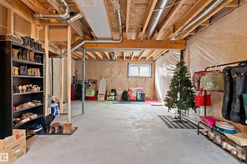 182 Caledonia Drive, Leduc, AB - Indoor Photo Showing Basement