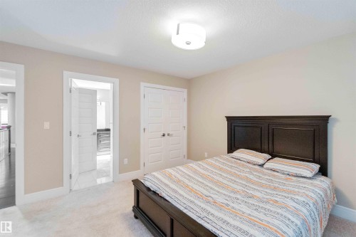 3948 Claxton Loop, Edmonton, AB - Indoor Photo Showing Bedroom