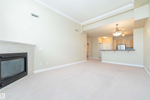 419 12408 15 Avenue, Edmonton, AB - Indoor With Fireplace