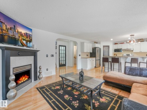 20115 46 Avenue, Edmonton, AB - Indoor Photo Showing Living Room With Fireplace