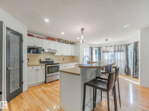 20115 46 Avenue, Edmonton, AB - Indoor Photo Showing Kitchen