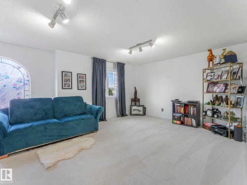 20115 46 Avenue, Edmonton, AB - Indoor Photo Showing Living Room