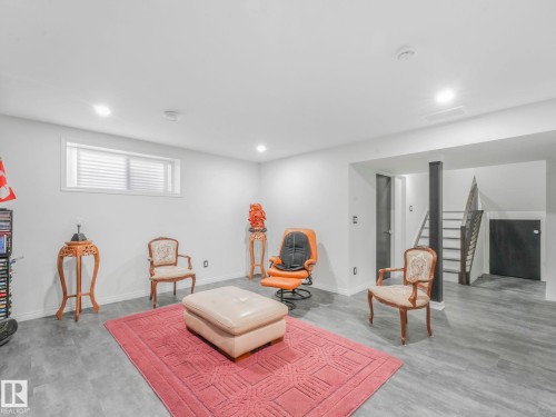 20115 46 Avenue, Edmonton, AB - Indoor Photo Showing Basement