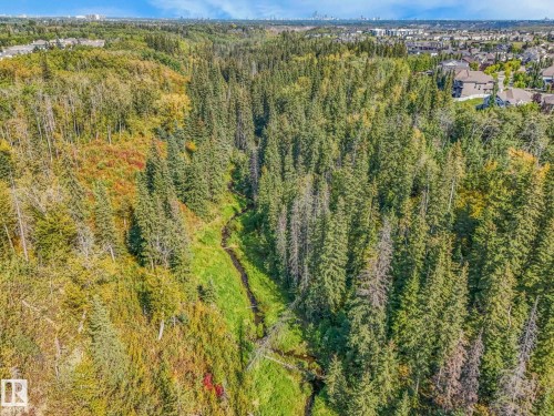 1232 Chahley Landing Landing, Edmonton, AB - Outdoor With View