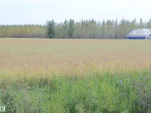 Twp 551 Rr 234, Rural Sturgeon County, AB 