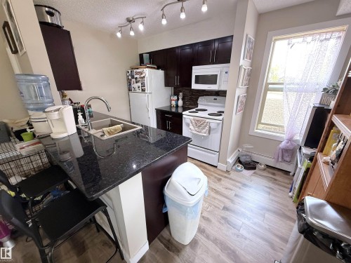 101 11803 22 Avenue, Edmonton, AB - Indoor Photo Showing Kitchen With Double Sink