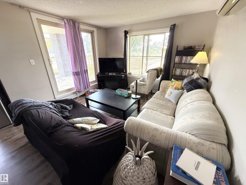 101 11803 22 Avenue, Edmonton, AB - Indoor Photo Showing Living Room