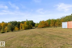 View of grassy yard - 