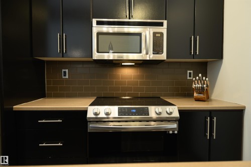 106 10531 117 Street, Edmonton, AB - Indoor Photo Showing Kitchen