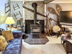 Carpeted living room featuring a wood stove - 