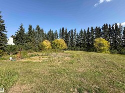 View of grassy yard - 