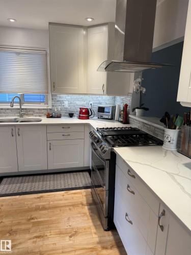 12131 65 Street, Edmonton, AB - Indoor Photo Showing Kitchen With Double Sink