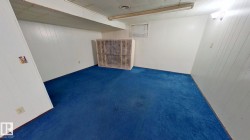 Finished basement with wood walls and carpet floors - 