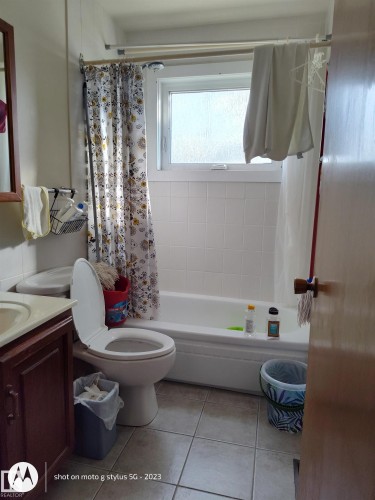 16165 109 Avenue Nw, Edmonton, AB - Indoor Photo Showing Bathroom