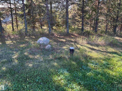 View of yard - 140 Russel Drive, Rural St. Paul County, AB - Outdoor With View