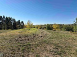 View of nature with rural landscape - 