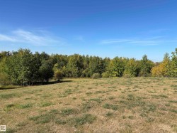 View of local wilderness with rural landscape - 