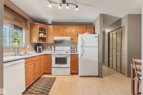1704 39 Street, Edmonton, AB - Indoor Photo Showing Kitchen With Double Sink