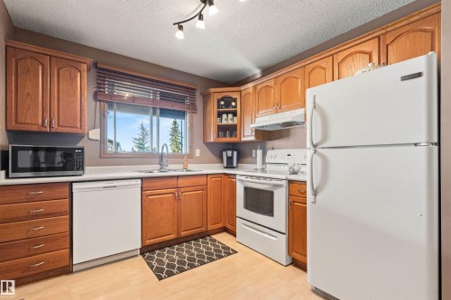1704 39 Street, Edmonton, AB - Indoor Photo Showing Kitchen With Double Sink