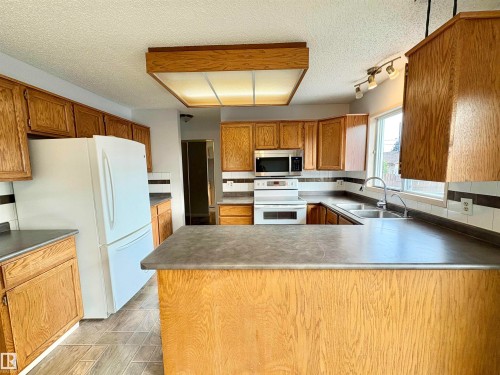 12231 44 Street Nw, Edmonton, AB - Indoor Photo Showing Kitchen With Double Sink