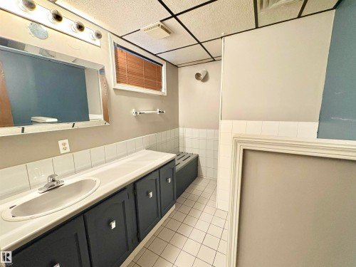 12231 44 Street Nw, Edmonton, AB - Indoor Photo Showing Bathroom