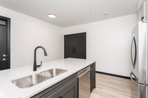 203 11933 106 Avenue, Edmonton, AB - Indoor Photo Showing Kitchen With Double Sink