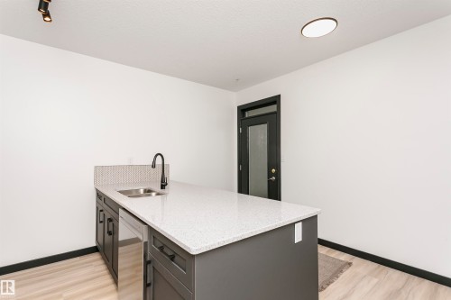 203 11933 106 Avenue, Edmonton, AB - Indoor Photo Showing Kitchen With Double Sink