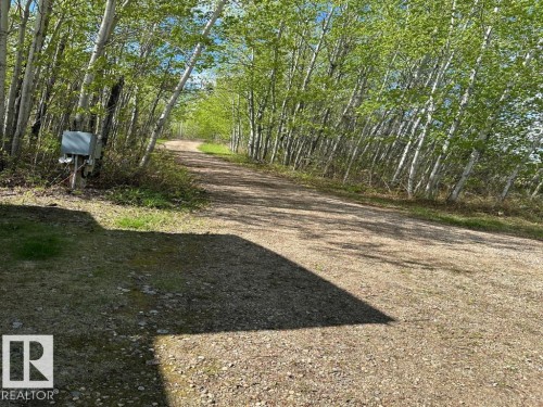 View of dirt / gravel road with a view of trees - #544 12002 Twp Rd 605A, Rural St. Paul County, AB 