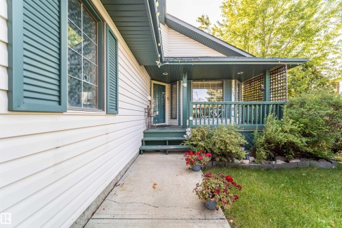 11415 9 Avenue, Edmonton, AB - Outdoor With Deck Patio Veranda