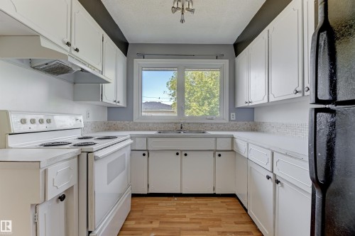 3116 112 Avenue, Edmonton, AB - Indoor Photo Showing Kitchen With Double Sink