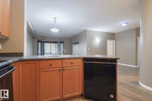 101 4304 139 Avenue Nw, Edmonton, AB - Indoor Photo Showing Kitchen With Double Sink