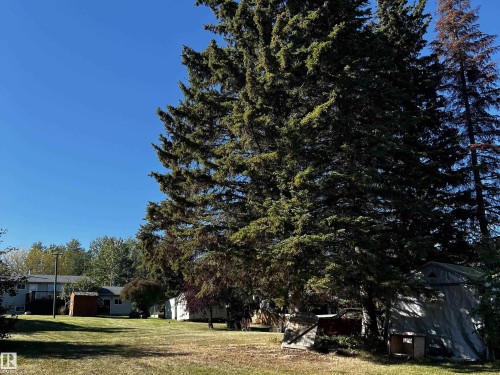 View of grassy yard with a shed - 74038 Birch Avenue, Widewater, AB - Outdoor