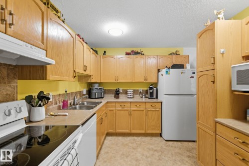 411 18004 95 Ave, Edmonton, AB - Indoor Photo Showing Kitchen With Double Sink