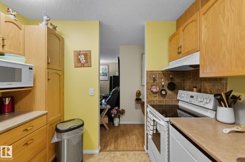411 18004 95 Ave, Edmonton, AB - Indoor Photo Showing Kitchen