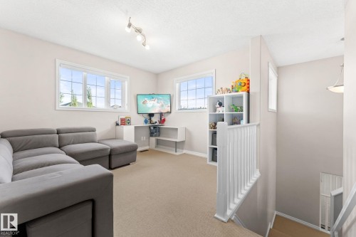 10655 181 Avenue, Edmonton, AB - Indoor Photo Showing Living Room