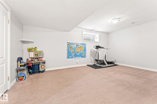 10655 181 Avenue, Edmonton, AB - Indoor Photo Showing Gym Room