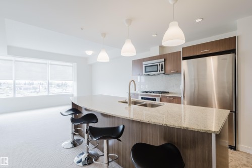 403 2504 109 Street, Edmonton, AB - Indoor Photo Showing Kitchen With Double Sink With Upgraded Kitchen