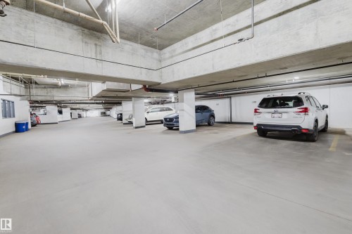 403 2504 109 Street, Edmonton, AB - Indoor Photo Showing Garage