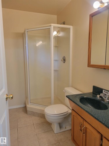 49132 Rr 92, Rural Brazeau County, AB - Indoor Photo Showing Bathroom