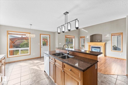 121 Castle Drive, Edmonton, AB - Indoor Photo Showing Kitchen With Fireplace With Double Sink