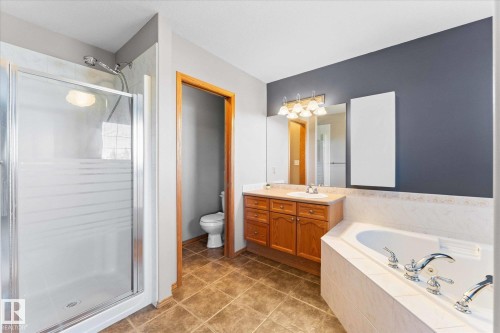 121 Castle Drive, Edmonton, AB - Indoor Photo Showing Bathroom