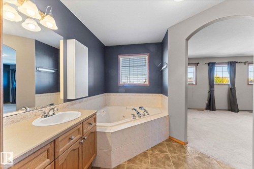121 Castle Drive, Edmonton, AB - Indoor Photo Showing Bathroom