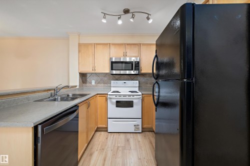 308 9938 104 Street, Edmonton, AB - Indoor Photo Showing Kitchen With Double Sink