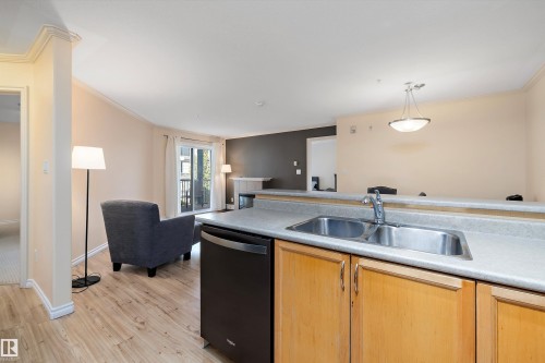 308 9938 104 Street, Edmonton, AB - Indoor Photo Showing Kitchen With Double Sink